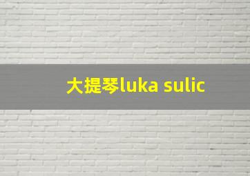 大提琴luka sulic